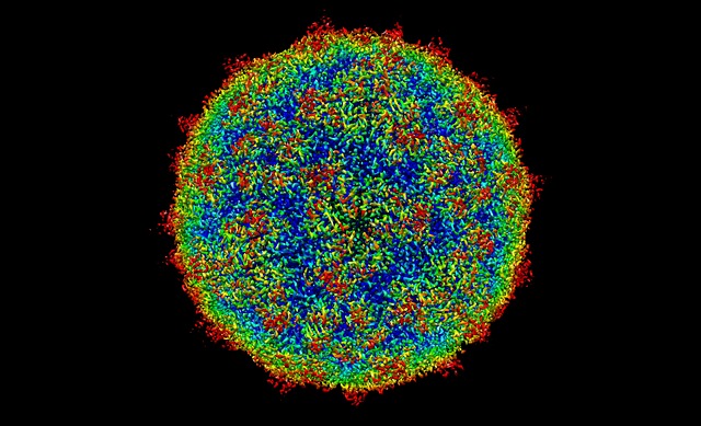 Virusi – potencijalni saveznici u borbi protiv raka